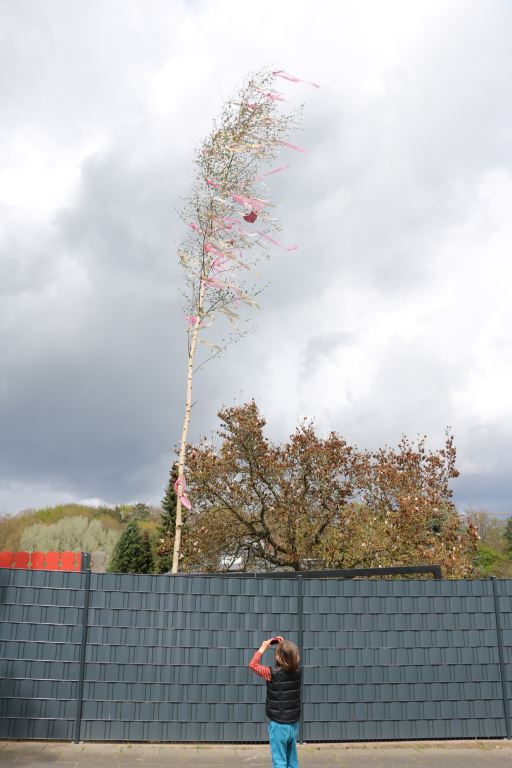 Guilem photographie un arbre de mai