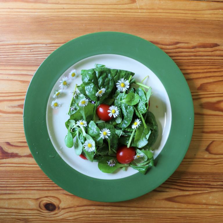 Salade verte avec des paquerettes