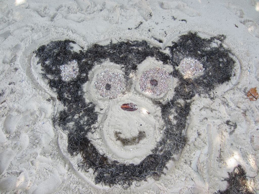 Beach art: tete de singe