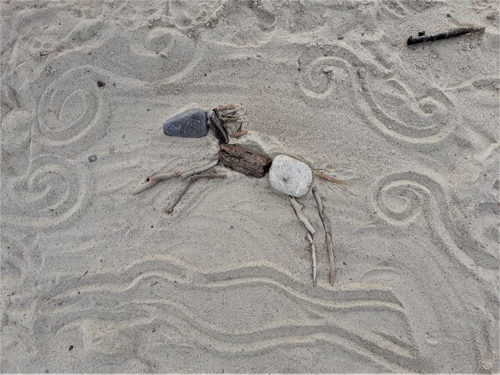 Beach art: cheval galopant