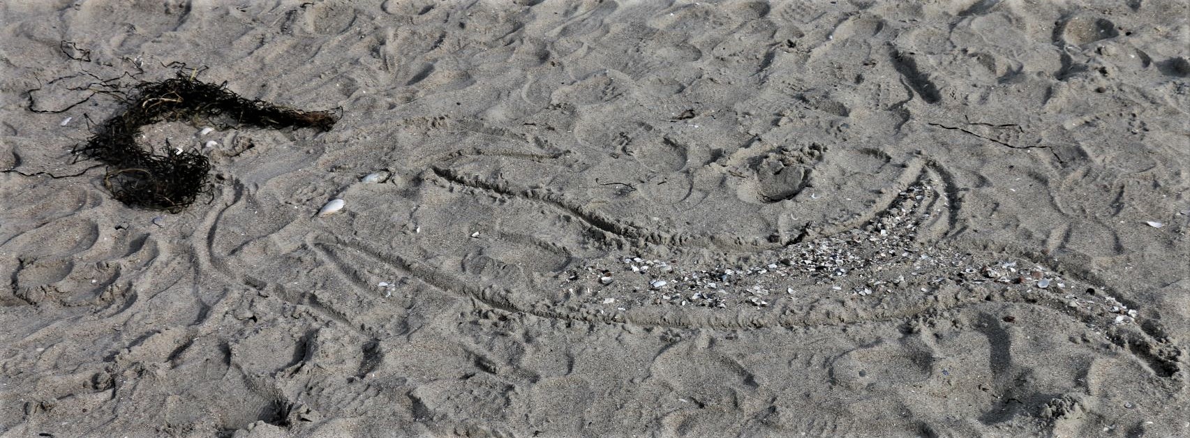 Beach art: La sirene de la Baltique