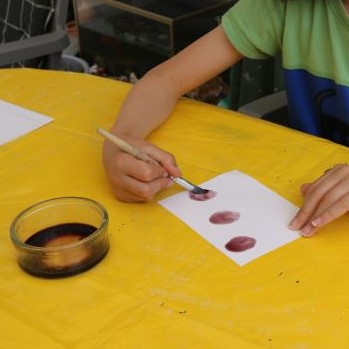 Peindre des coquelicots: deposer le jus sur les cartes